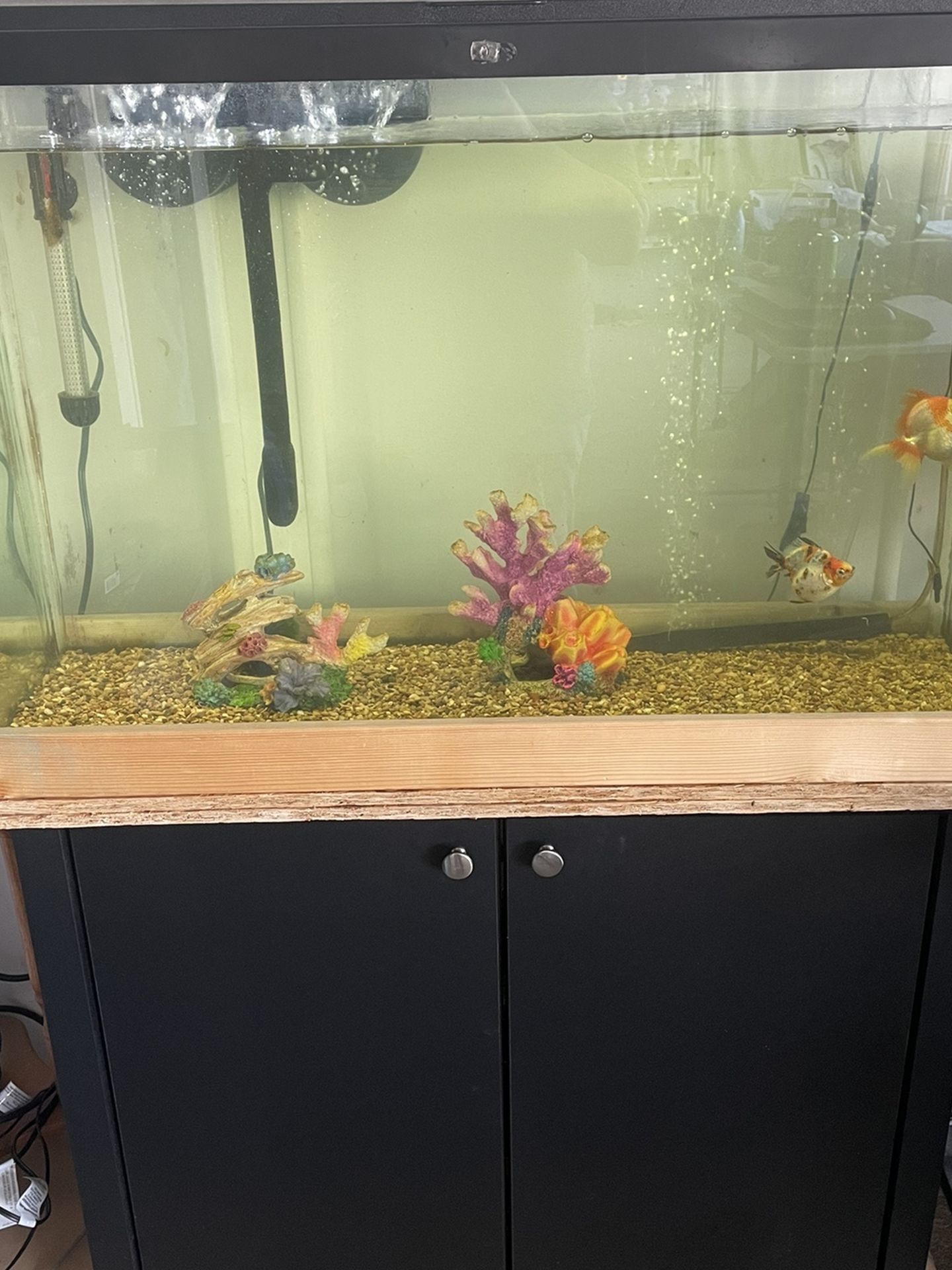 45 Gallon Aquarium