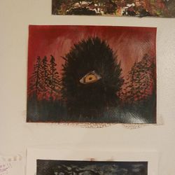 Forest Fires Wa  2022 Diablo