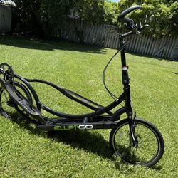 ElliptiGo Elliptical Bike. 