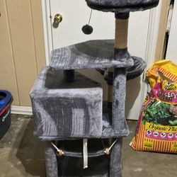 Cat House