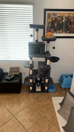Cat House