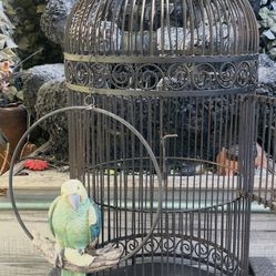 Vintage Victorian bird cage 