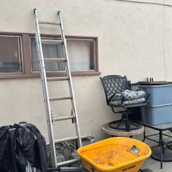 Huge Long Ladder 