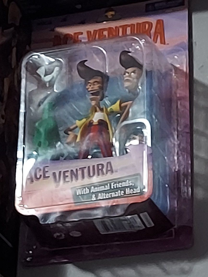 Ace Ventura
