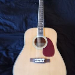 Carlo Robelli Acoustic Guitar Best Offer