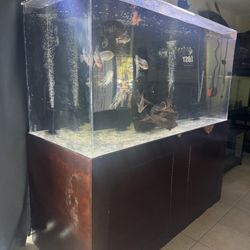 Fish Tank Aquarium Acrylic 340 Gallon