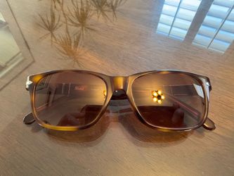 Persol Tortoise Polarized Sunglasses