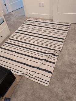 Black and white striped area rug