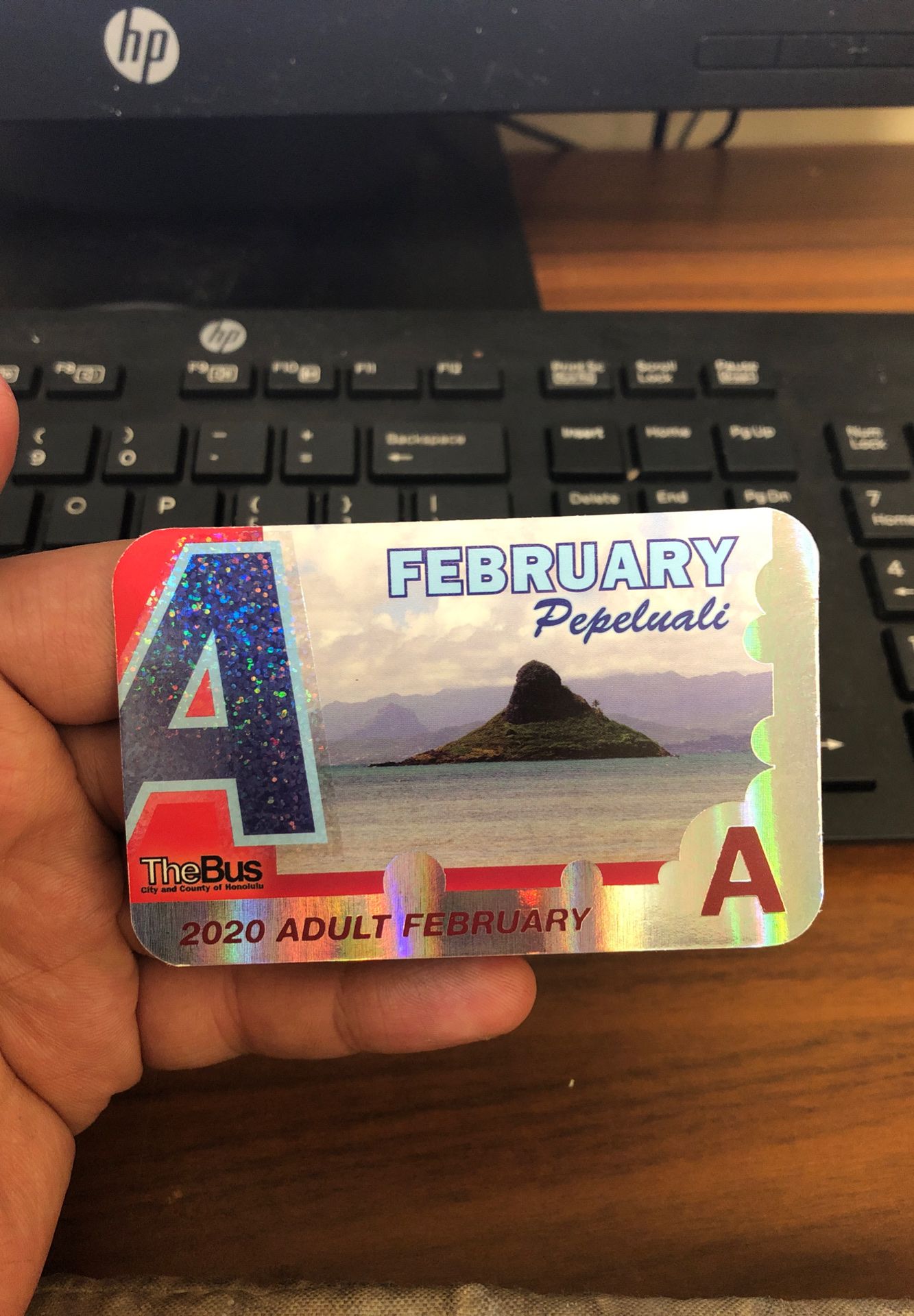 February Adult bus pass