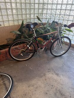 Hard Rock Specialized Bike And Giant Cypress Bike Need To Be Put Together