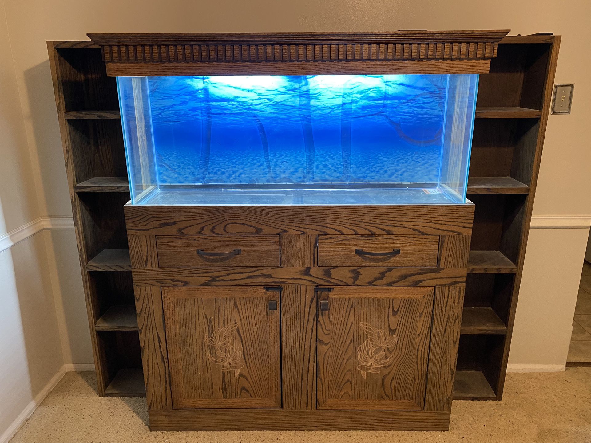 One Of A Kind Fish Tank 