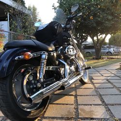 Harley Davidson 2009 Custom XL1200
