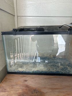 Glass Fish Tank with Lid and Gravel