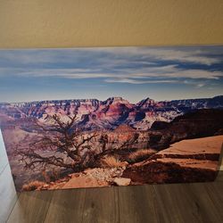 Beautiful Grand Canyon Frame Art Work 48x32