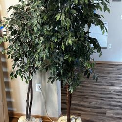 Fake Indoor Tress