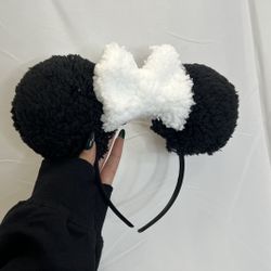 Custom Disney Ears 
