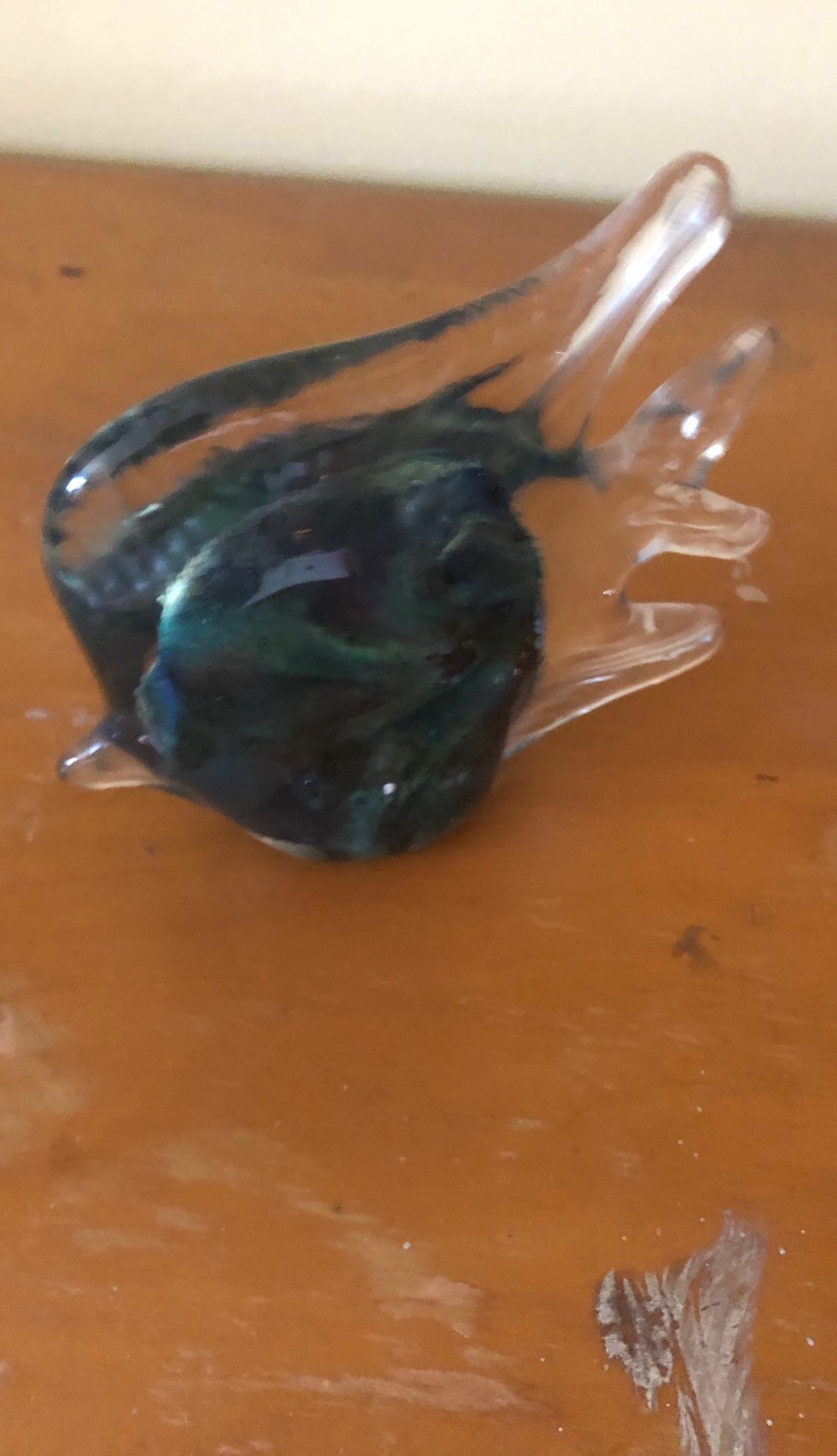 Glass fish blue & green