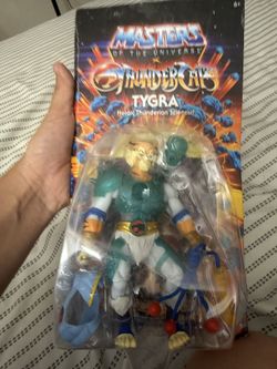 Tigra Thundercats Action Figure And Wwe Action Figure 
