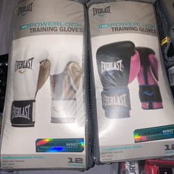 Boxing Gear ($300+)