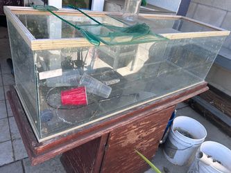 Fish tank free