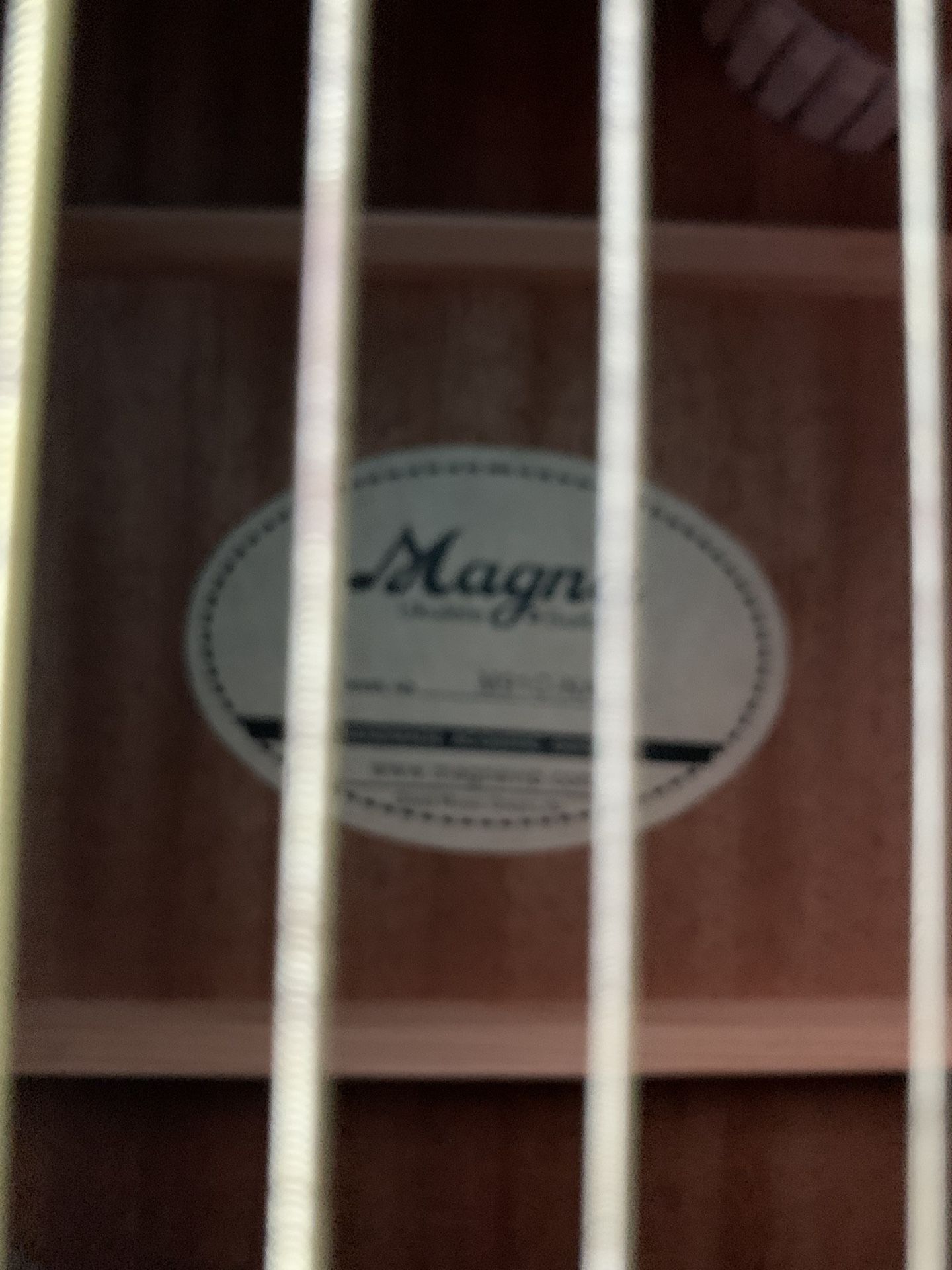 Affordable Guitars- Fender