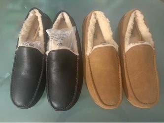 BRAND NEW UGG Ascot Men’s Slippers (US Size 13) - 2 Colors Available!