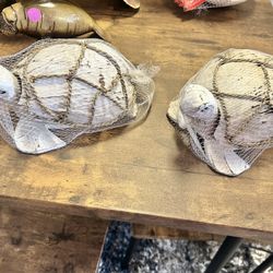 New Handcrafted Carved Coconut Turtle 