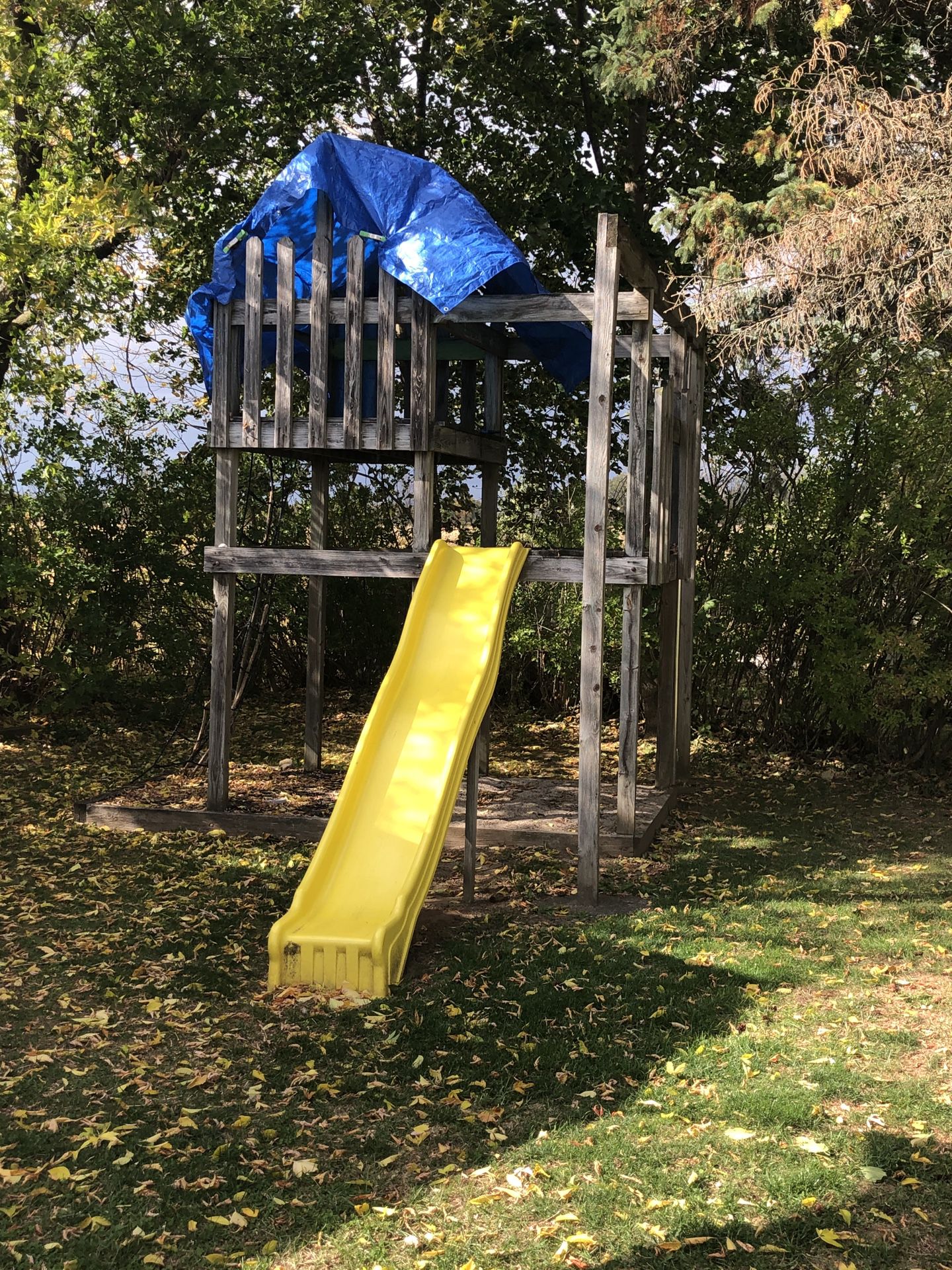 FREE LARGE PLAYSCAPE