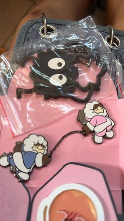 Anime collection pins.