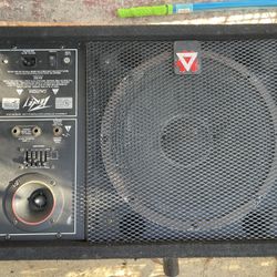 Peavey Monitor