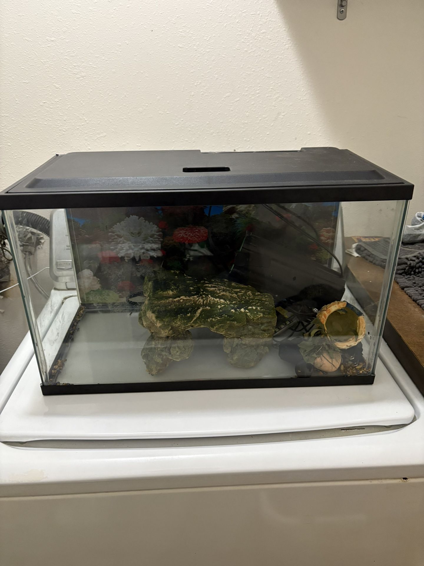 10 gallon Fish Tank