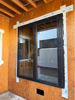 Window