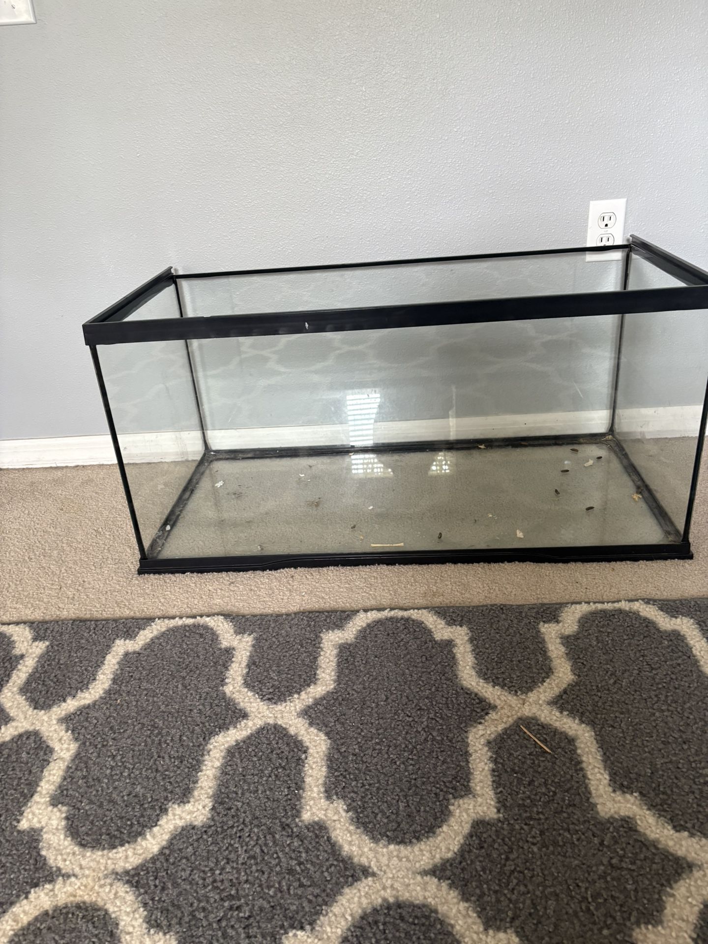 Aquarium 