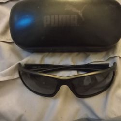 Puma Sunglasses 