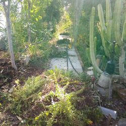 Land Scaping