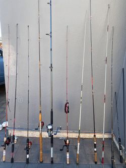 Striper,halibut Rod And Reel Combo 