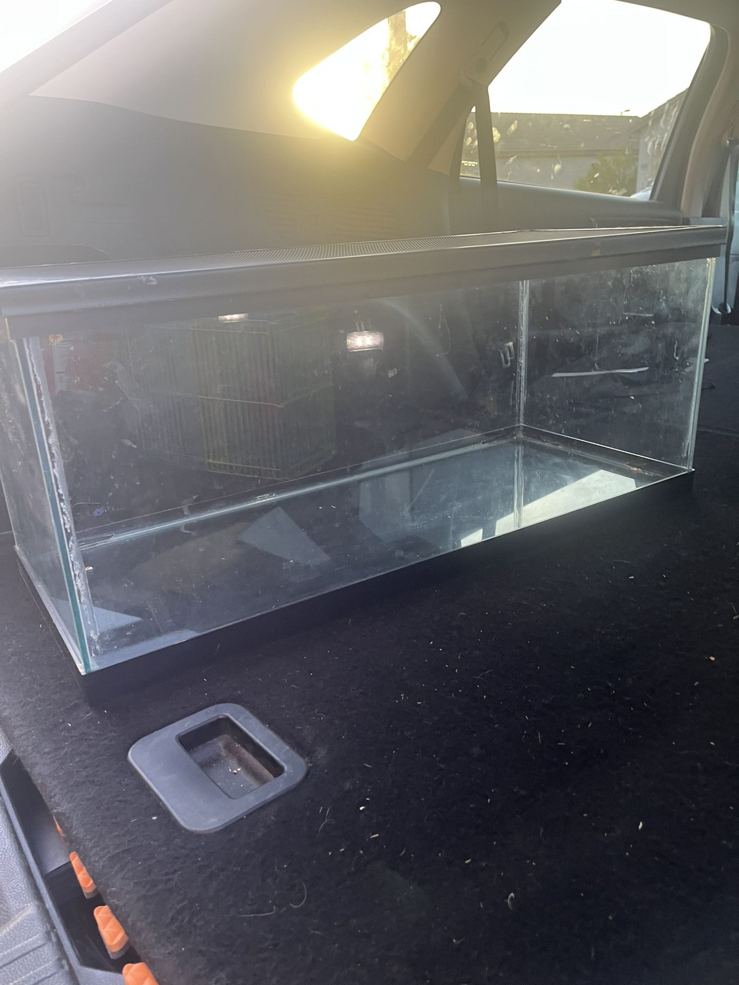 20 Gallon ' Hamster cage / fish tank or terrarium '