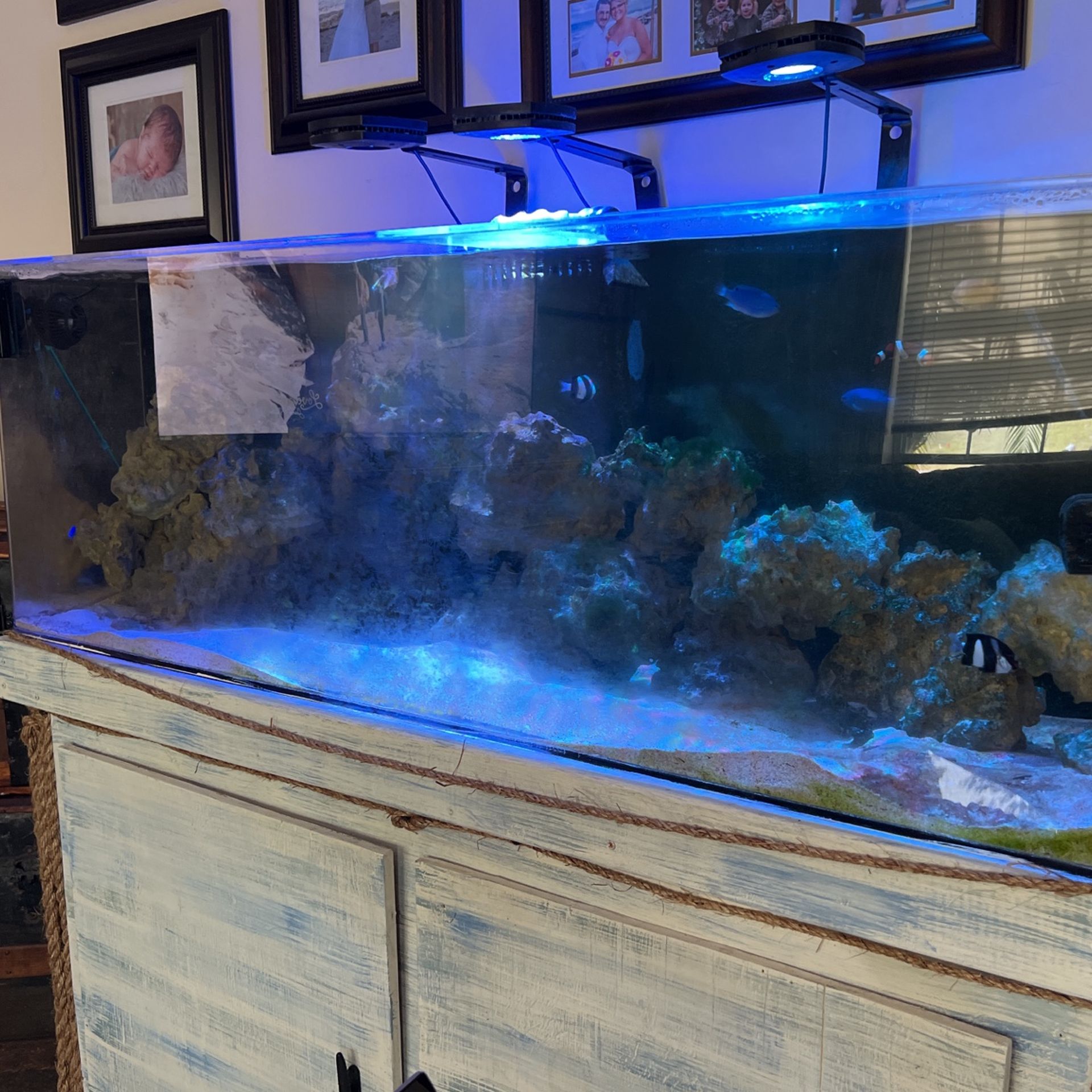 90 Gallon Acrylic Salt Water Aquarium