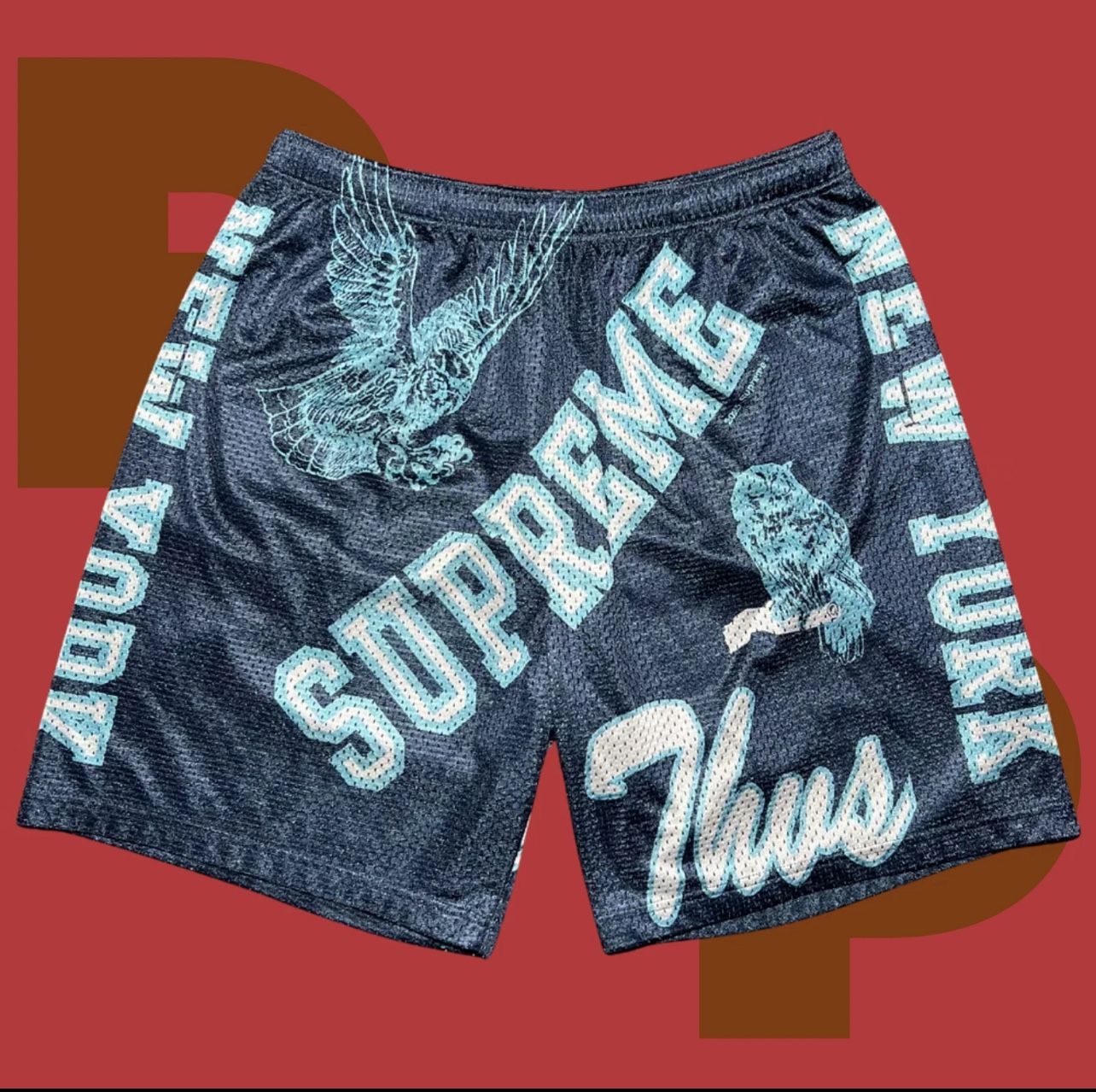 Supreme Varsity Mesh Short (Medium)