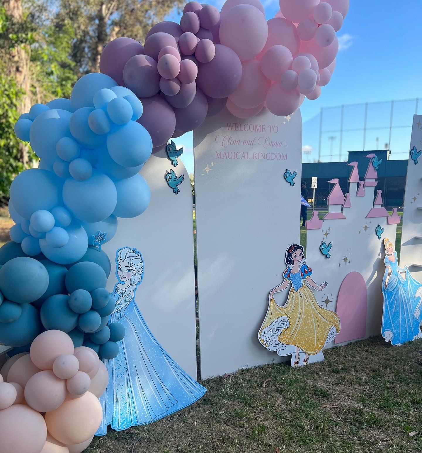 Disney Princess, Princess, Princess Castle, Princess Stands, Princess Balloon Garland, Princess Party, Princess Decor