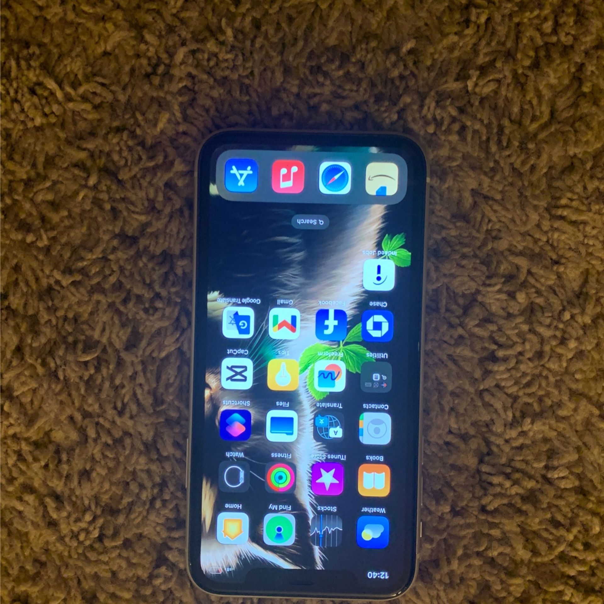 iPhone 11