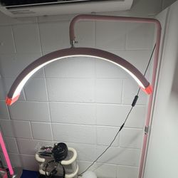 Half Moon Lash Light - Adjustable LED Floor Lamp for Eyelash Extensions,Nail Art,Tattoo,Skincare,Salon SPA-Dimmable Brightness,Rotating Head, Pink