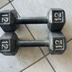 12 Pound Hex Dumbbells 