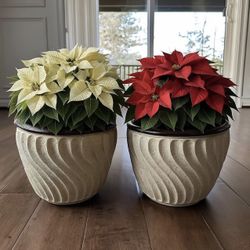 Set of 2 Large Elegant Stone-Look Resin Planter