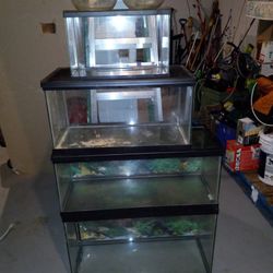 Fish Tank 