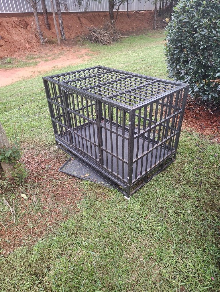Large Dog Kennel