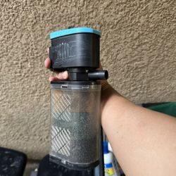 Fish Tank Essentials