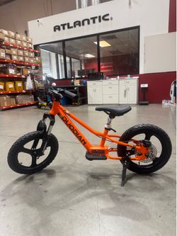 Children‘s electric scooter