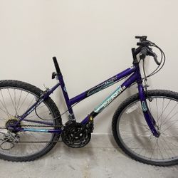 Roadmaster Mt Fury Bicycle