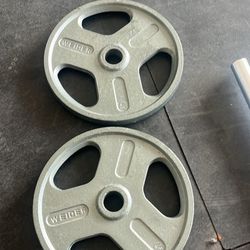 45lb Gym plates